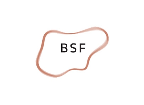 BSF logo JPG