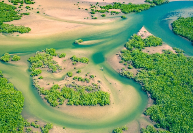 Areal Senegal